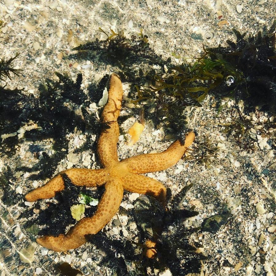 Le Petit Suítes Praia de Lages Pôrto de Pedras Exterior foto